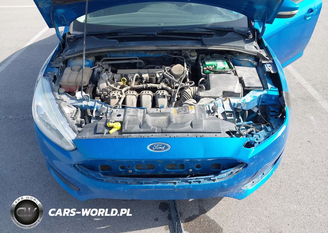 2016 Ford Focus Se VIN:1FADP3F21GL238221 - 10