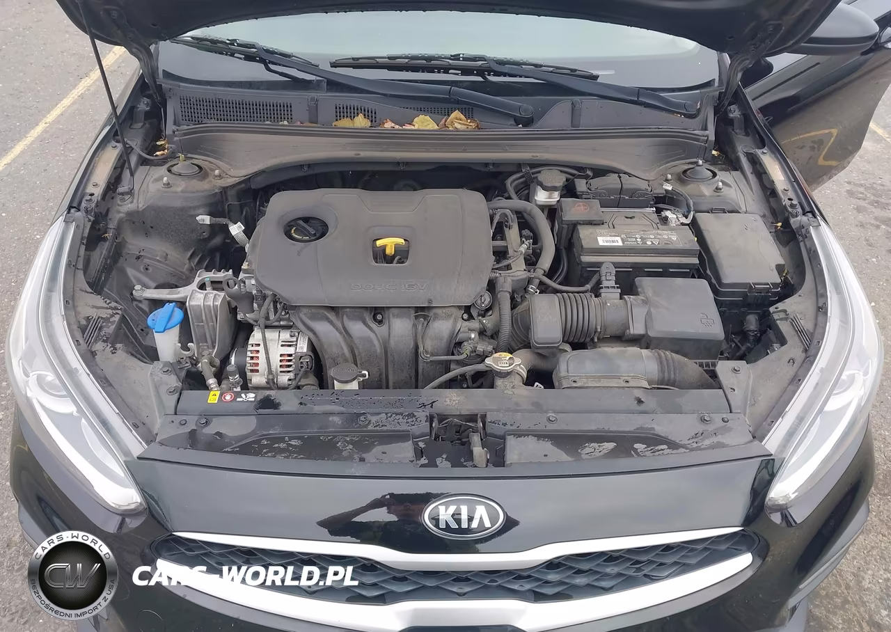 2019 Kia Forte Fe VIN:3KPF24AD5KE081441 - 10
