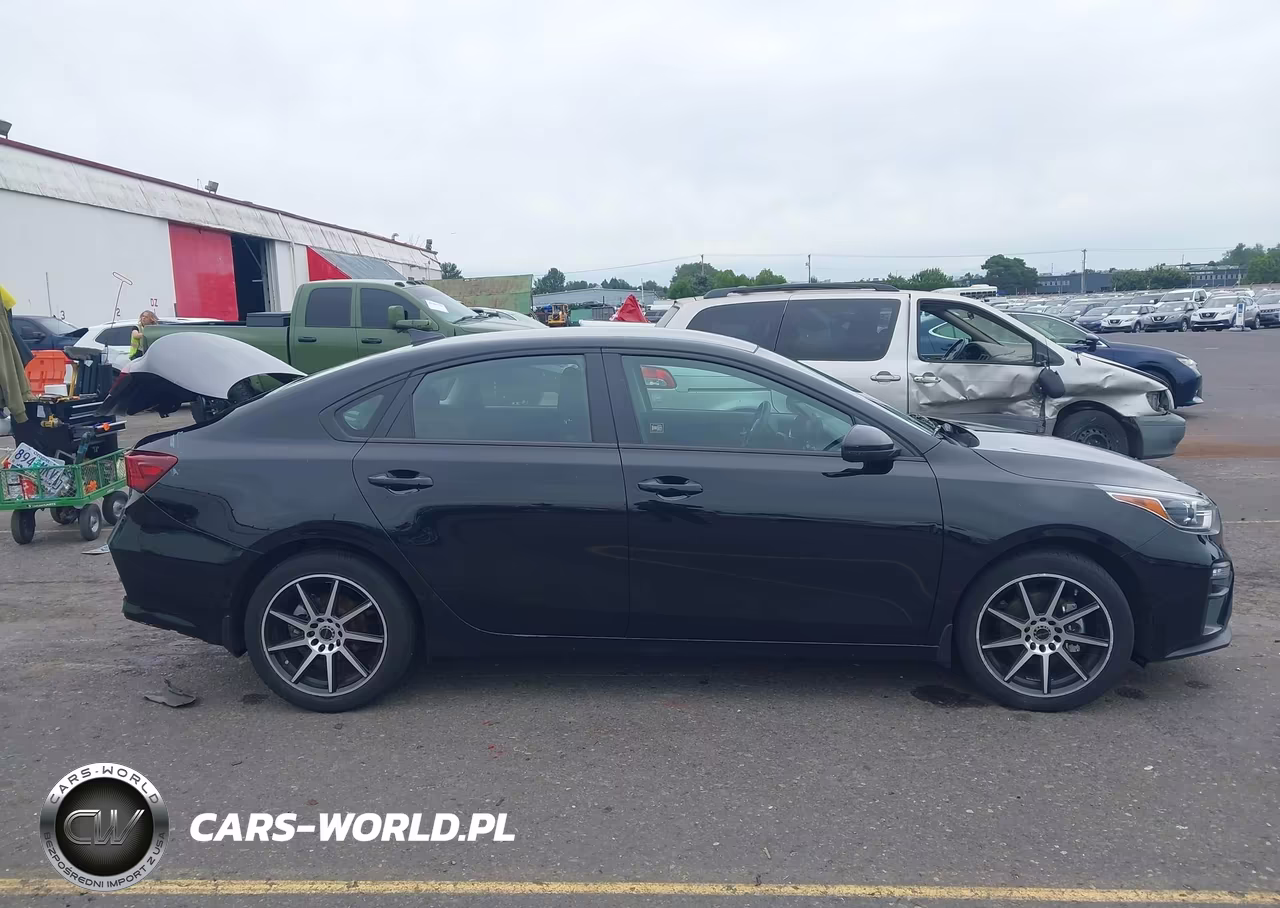 2019 Kia Forte Fe VIN:3KPF24AD5KE081441 - 13