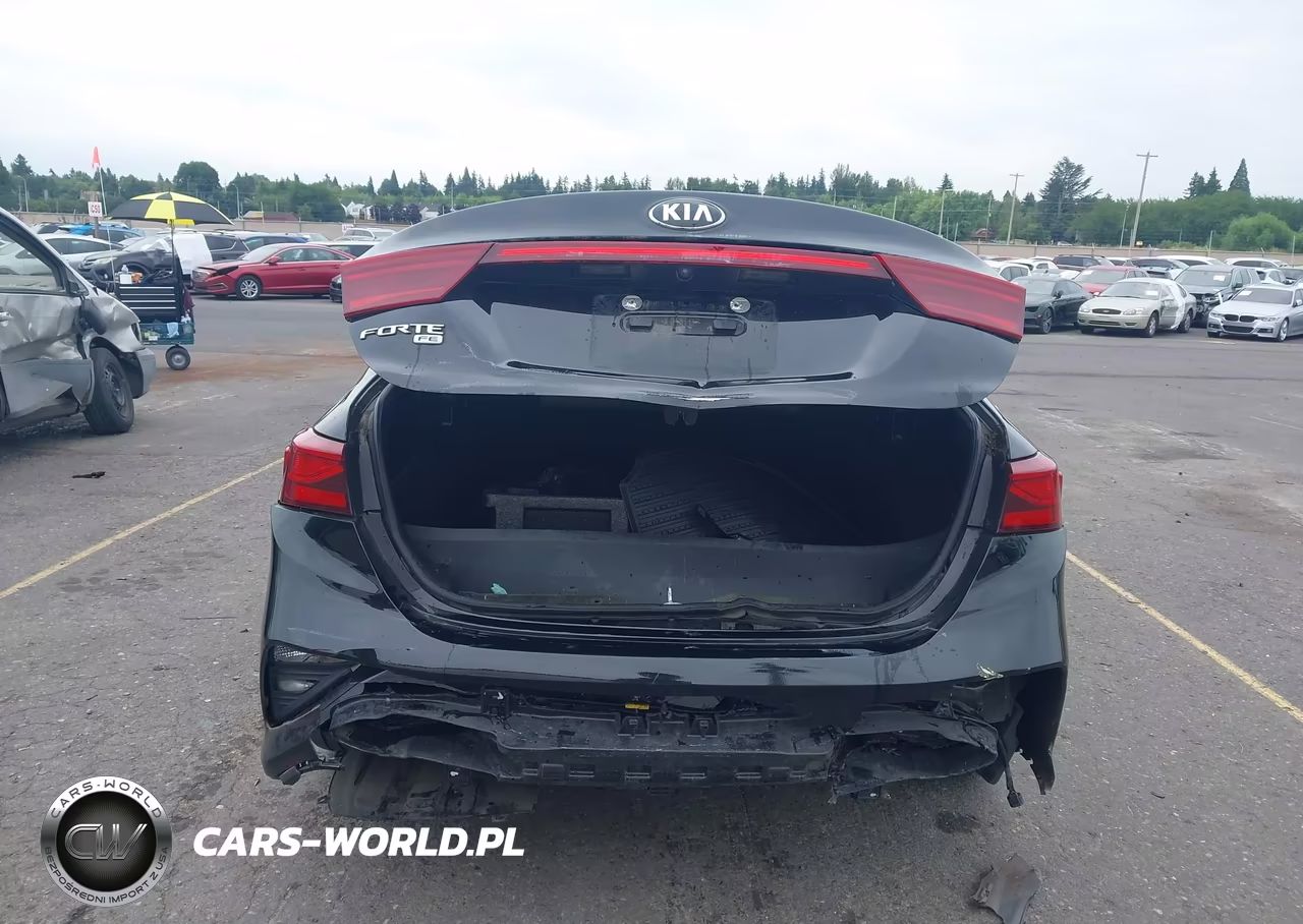2019 Kia Forte Fe VIN:3KPF24AD5KE081441 - 16