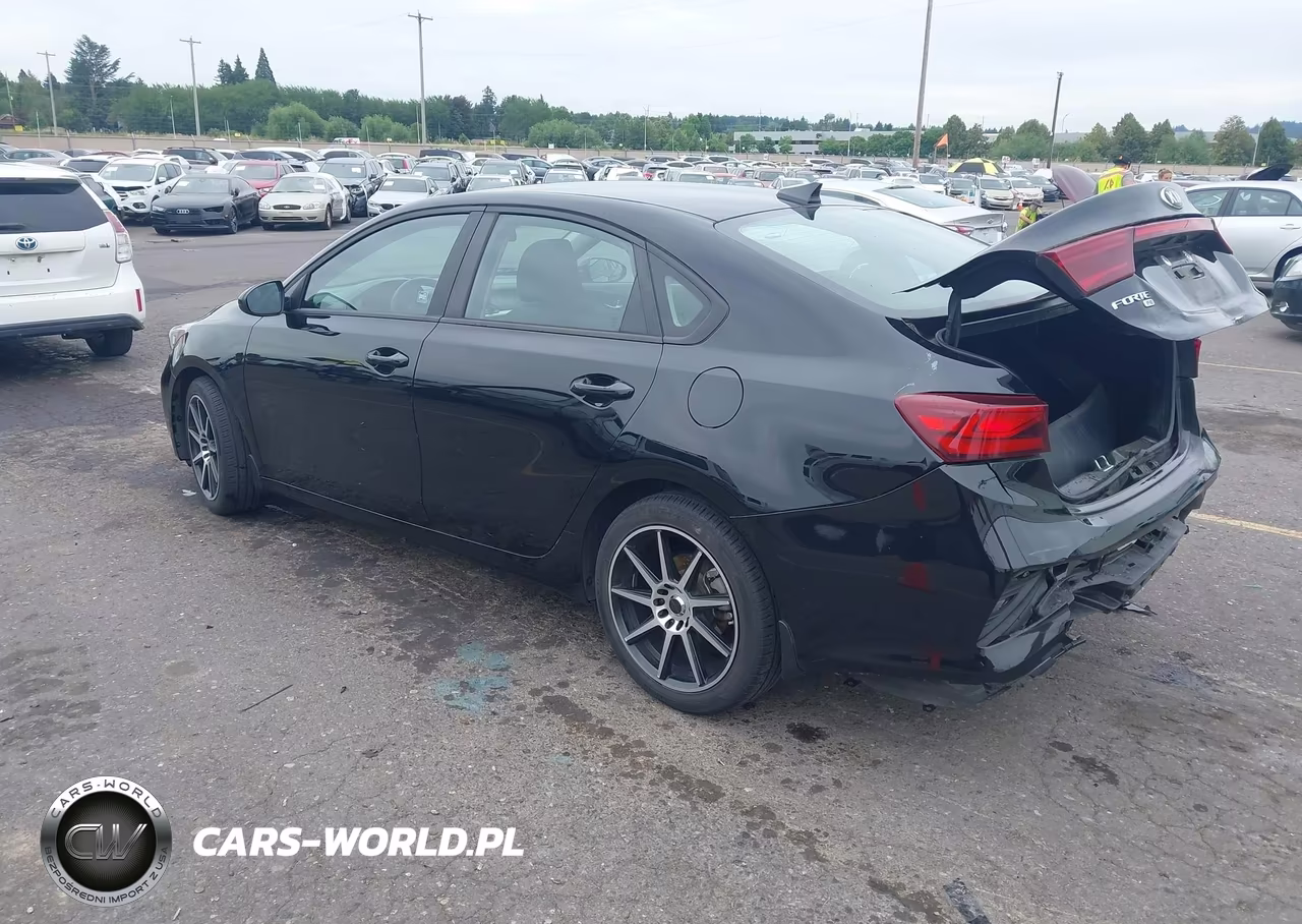 2019 Kia Forte Fe VIN:3KPF24AD5KE081441 - 3