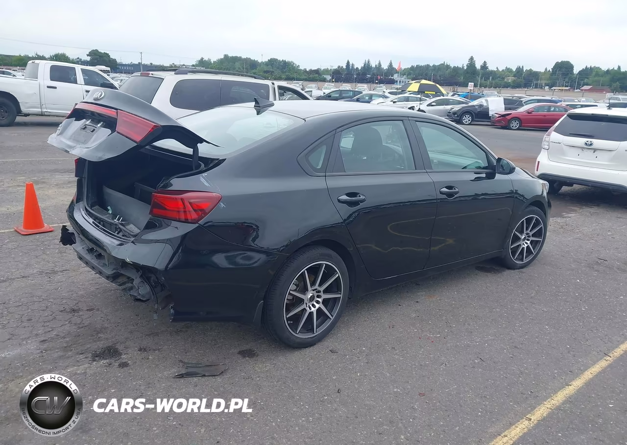 2019 Kia Forte Fe VIN:3KPF24AD5KE081441 - 4