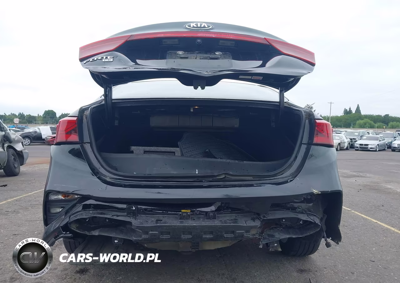 2019 Kia Forte Fe VIN:3KPF24AD5KE081441 - 6