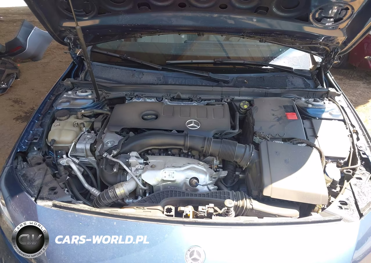 2019 Mercedes-Benz A 220 VIN:WDD3G4EB5KW020891 - 10