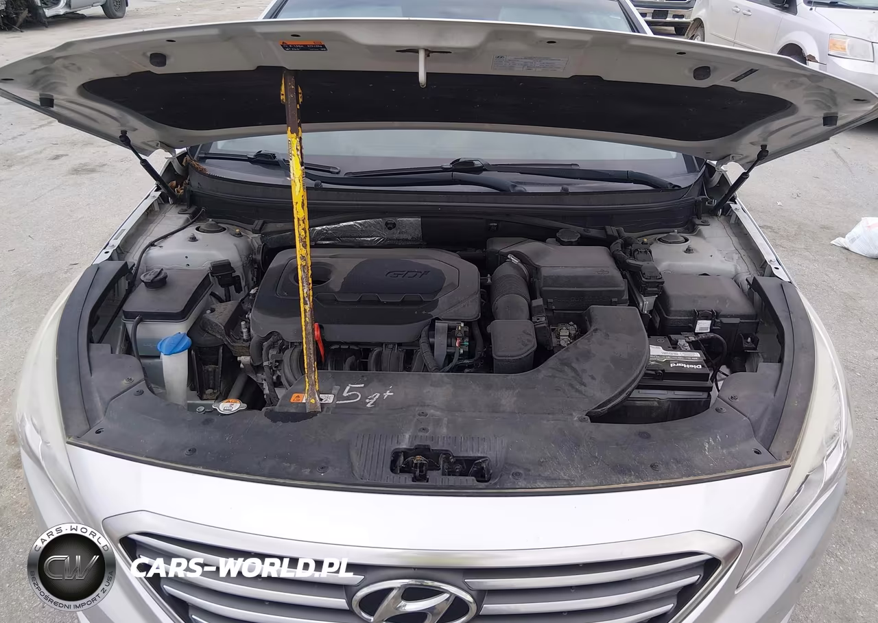 2016 Hyundai Sonata Se VIN:5NPE24AF5GH291652 - 10