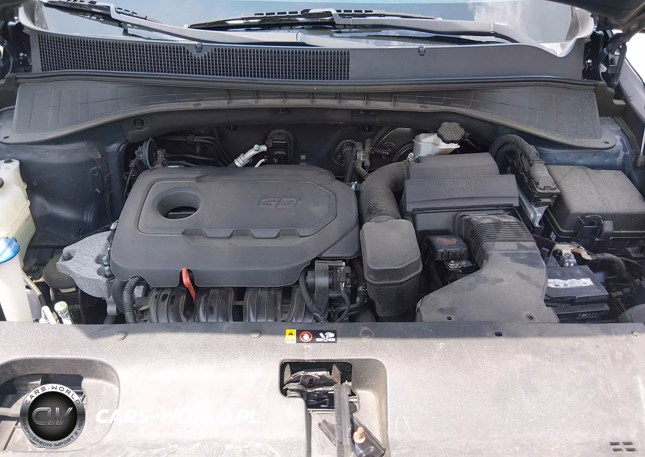 2017 Kia Sorento 2.4L Lx VIN:5XYPGDA39HG199128 - 10
