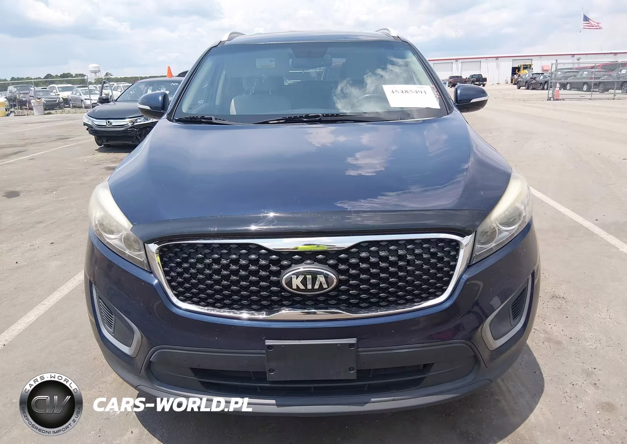 2017 Kia Sorento 2.4L Lx VIN:5XYPGDA39HG199128 - 12