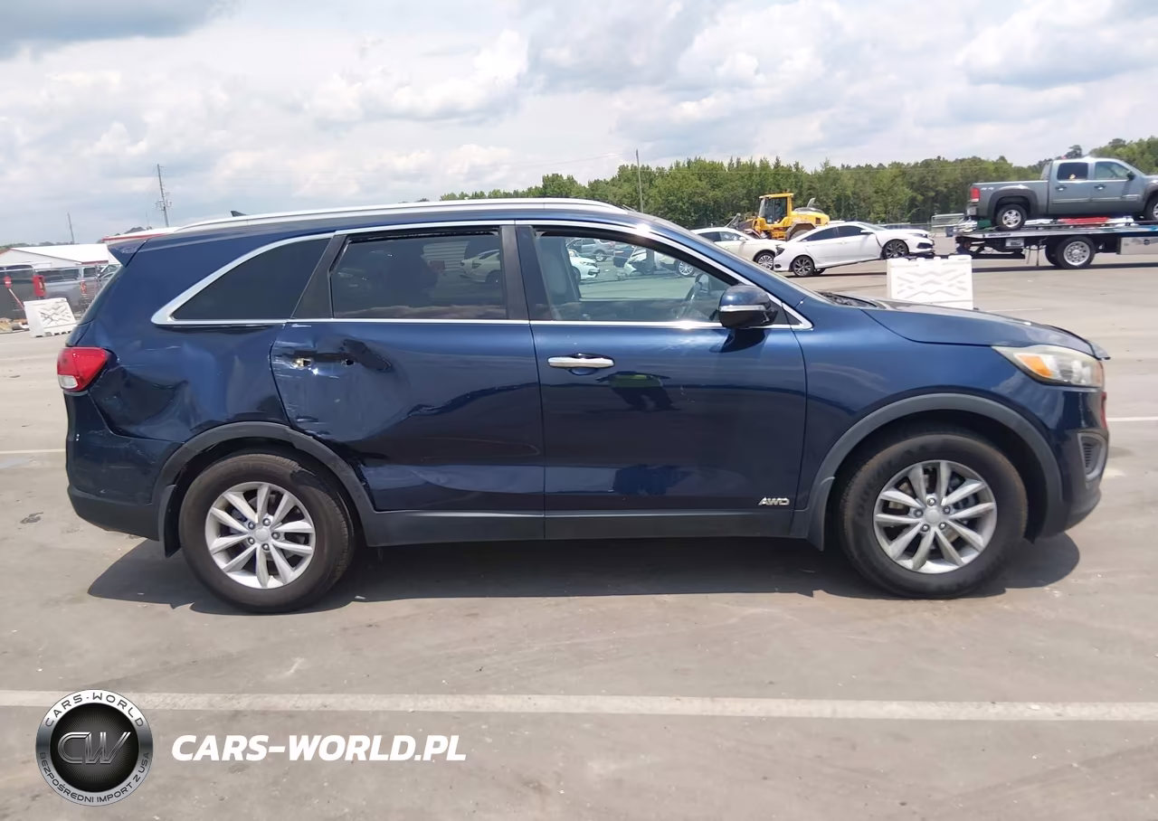 2017 Kia Sorento 2.4L Lx VIN:5XYPGDA39HG199128 - 13