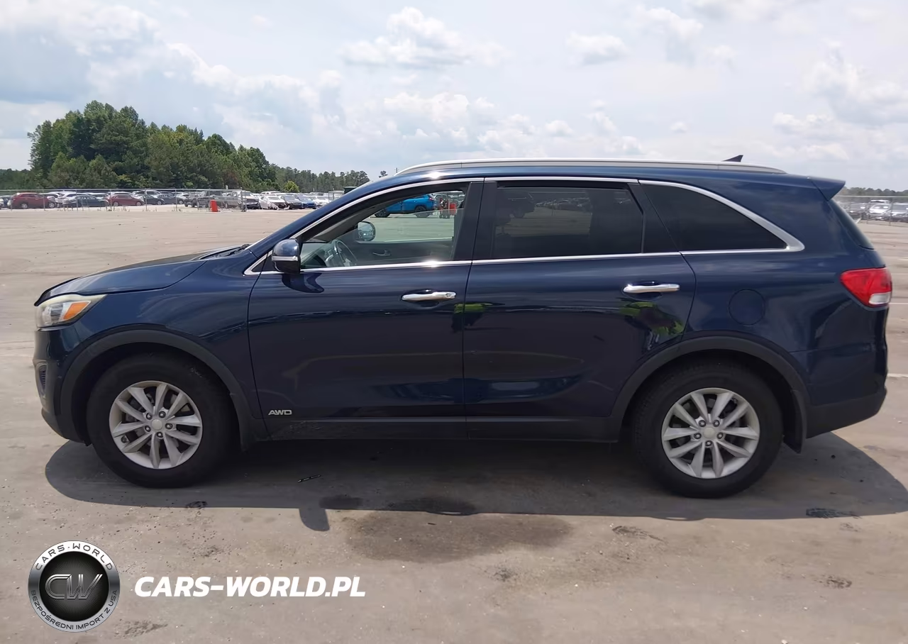 2017 Kia Sorento 2.4L Lx VIN:5XYPGDA39HG199128 - 14