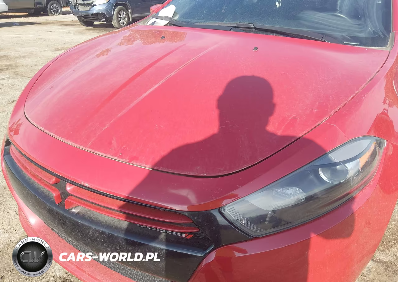 2013 Dodge Dart Rallye VIN:1C3CDFBH0DD219437 - 6