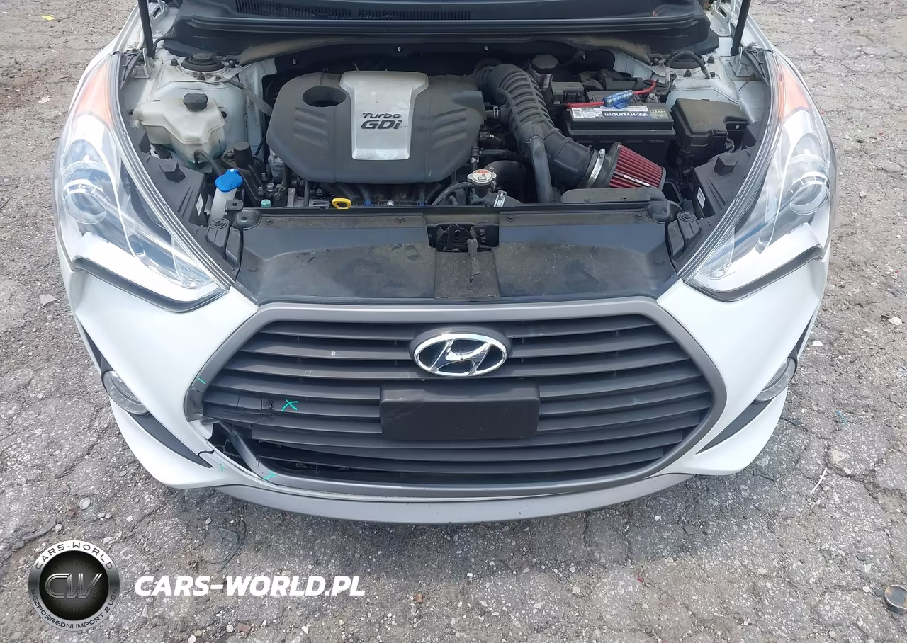 2016 Hyundai Veloster Turbo VIN:KMHTC6AE1GU289891 - 10