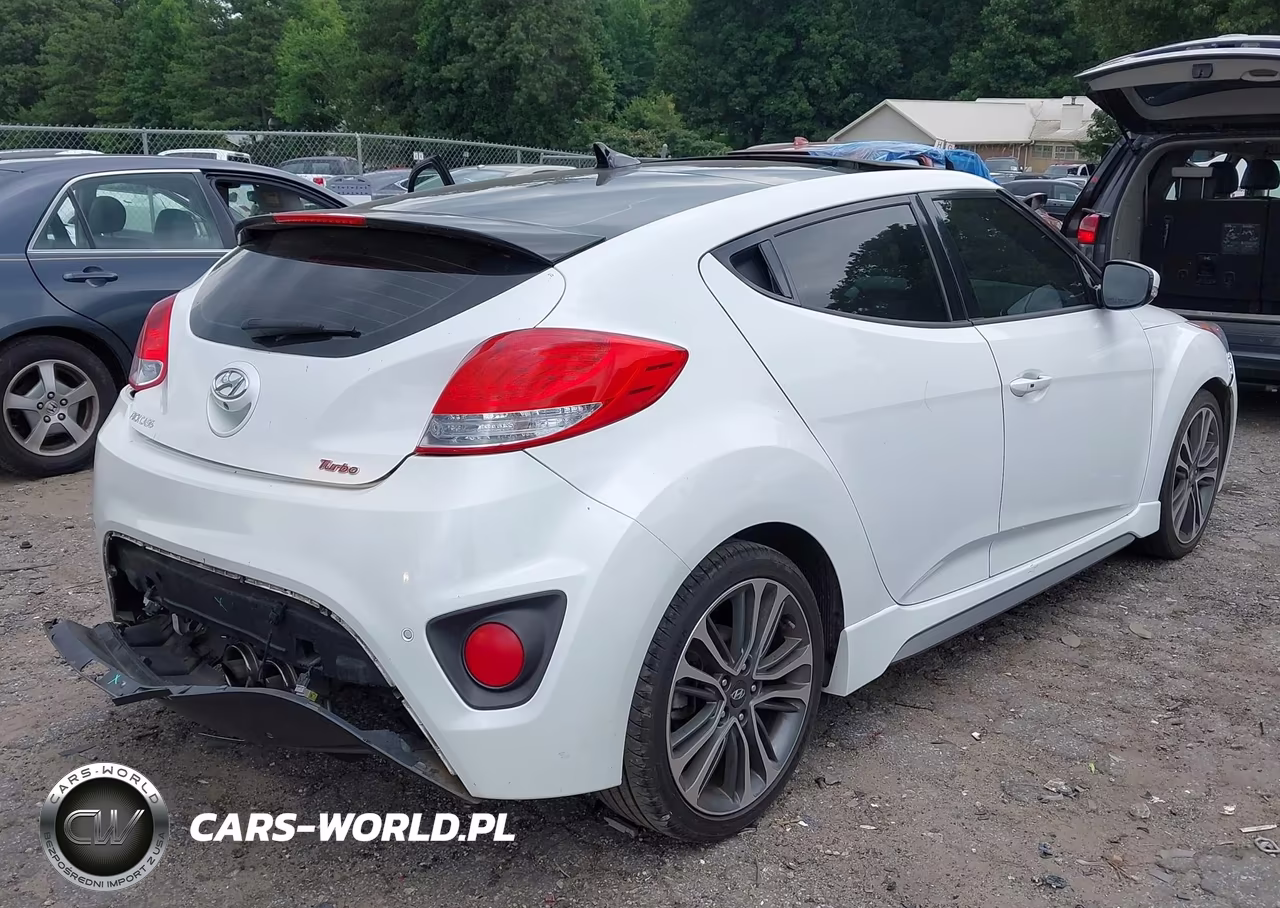 2016 Hyundai Veloster Turbo VIN:KMHTC6AE1GU289891 - 17