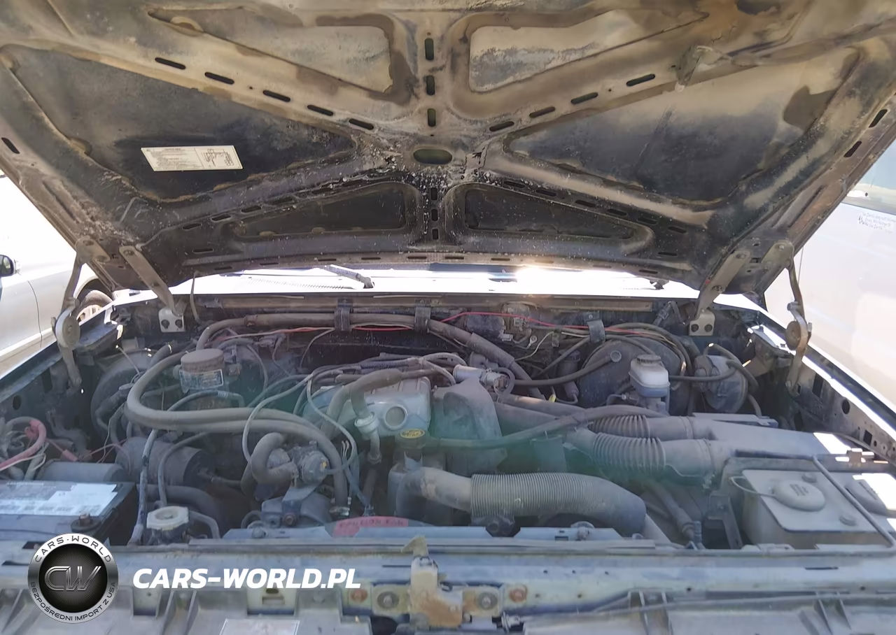 1991 Ford Bronco U100 VIN:1FMEU15Y6MLA21045 - 10