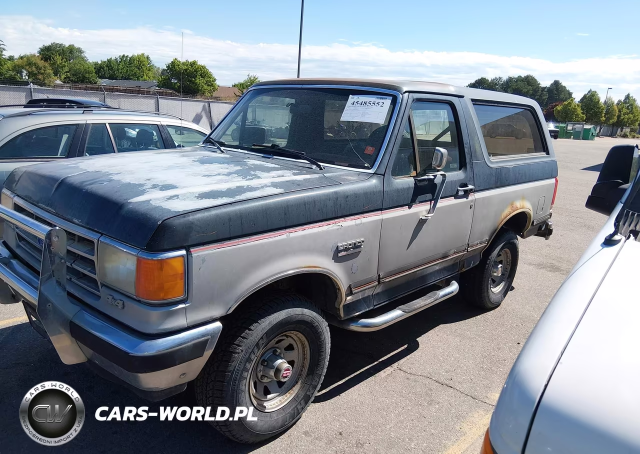 1991 Ford Bronco U100 VIN:1FMEU15Y6MLA21045 - 2