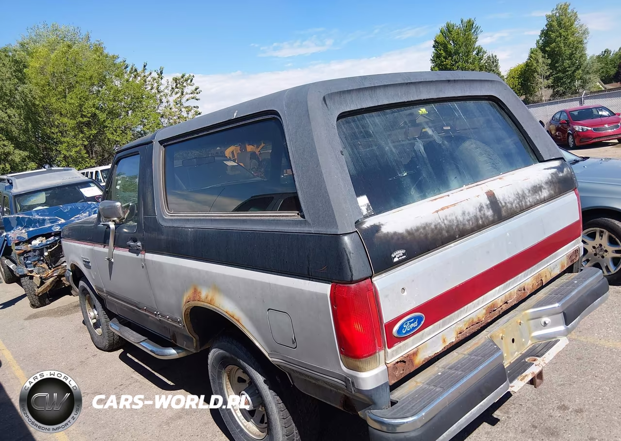 1991 Ford Bronco U100 VIN:1FMEU15Y6MLA21045 - 3