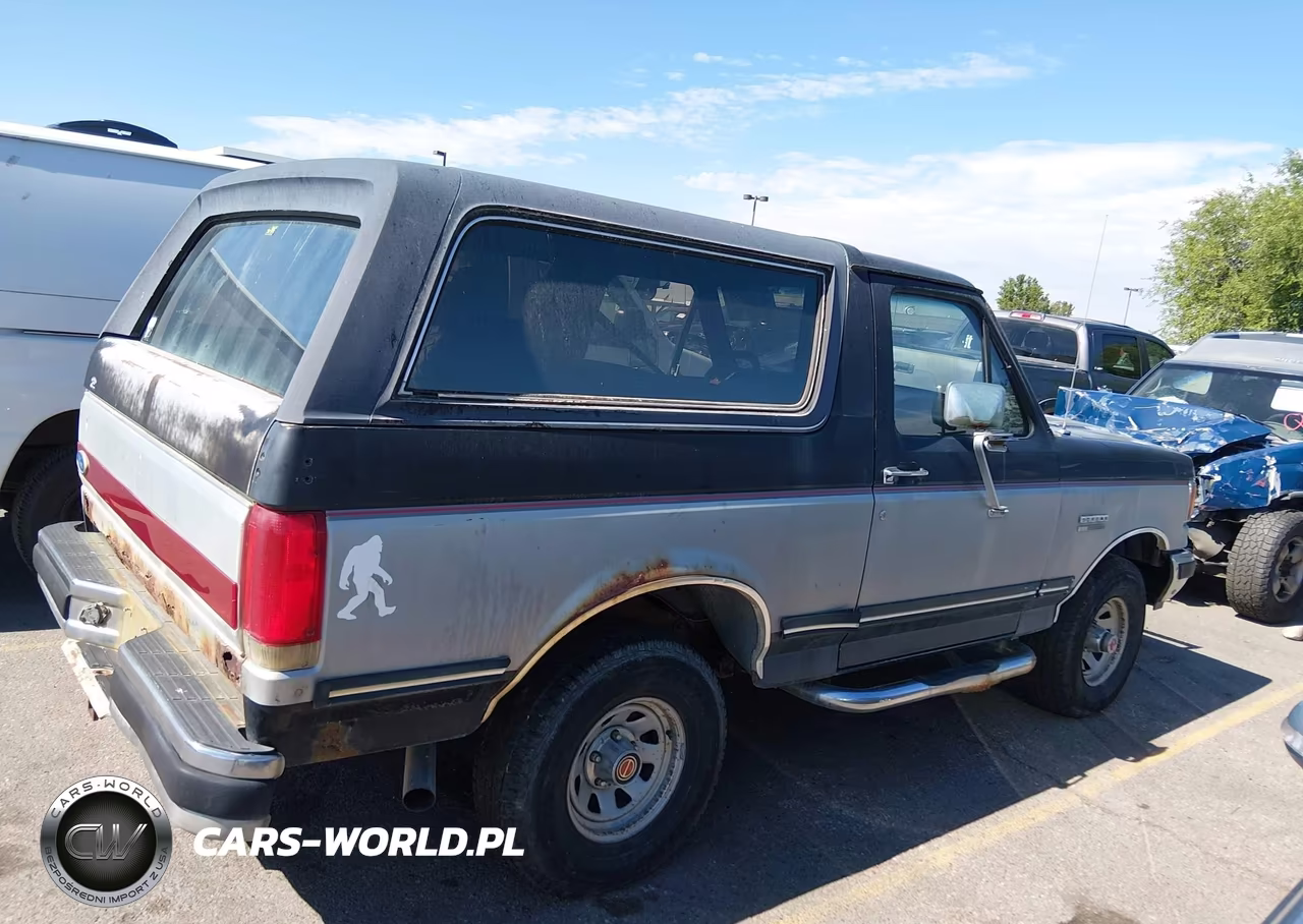 1991 Ford Bronco U100 VIN:1FMEU15Y6MLA21045 - 4