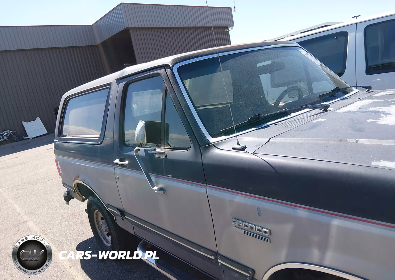 1991 Ford Bronco U100 VIN:1FMEU15Y6MLA21045 - 6