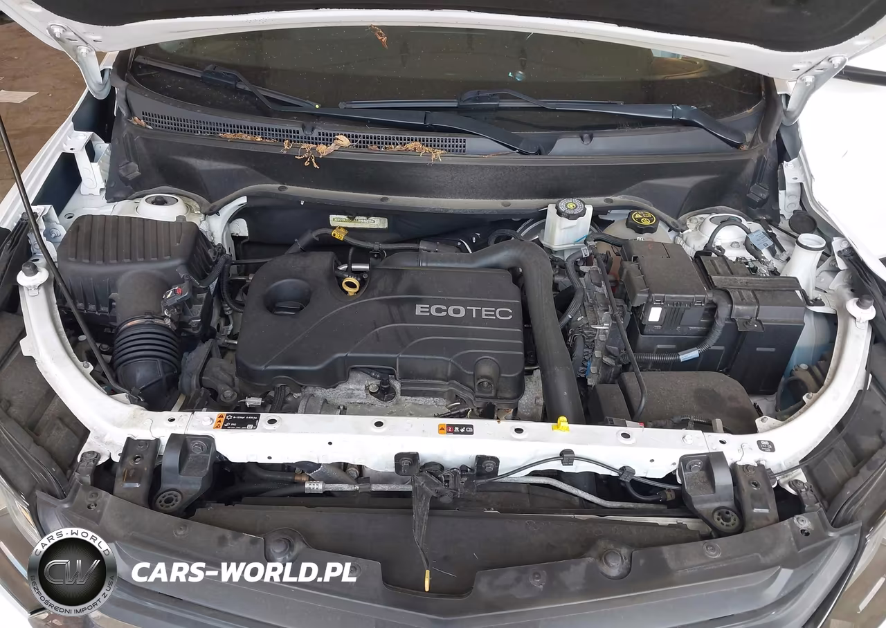 CHEVROLET EQUINOX LT VIN:3GNAXJEV0LS737584 - 10