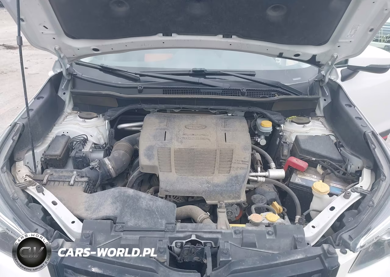 2019 Subaru Forester Sport VIN:JF2SKAPC0KH527891 - 10