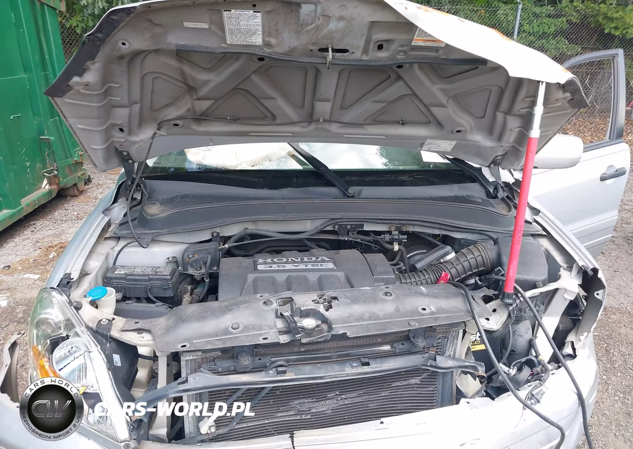 2005 Honda Pilot Ex-L VIN:5FNYF18525B028429 - 10