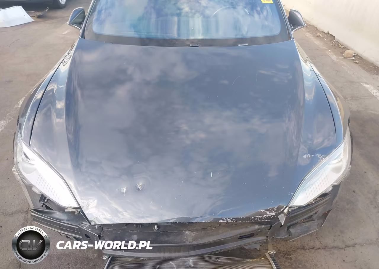 2016 Tesla Model S 60-70-75-85 VIN:5YJSA1E12GF121945 - 10