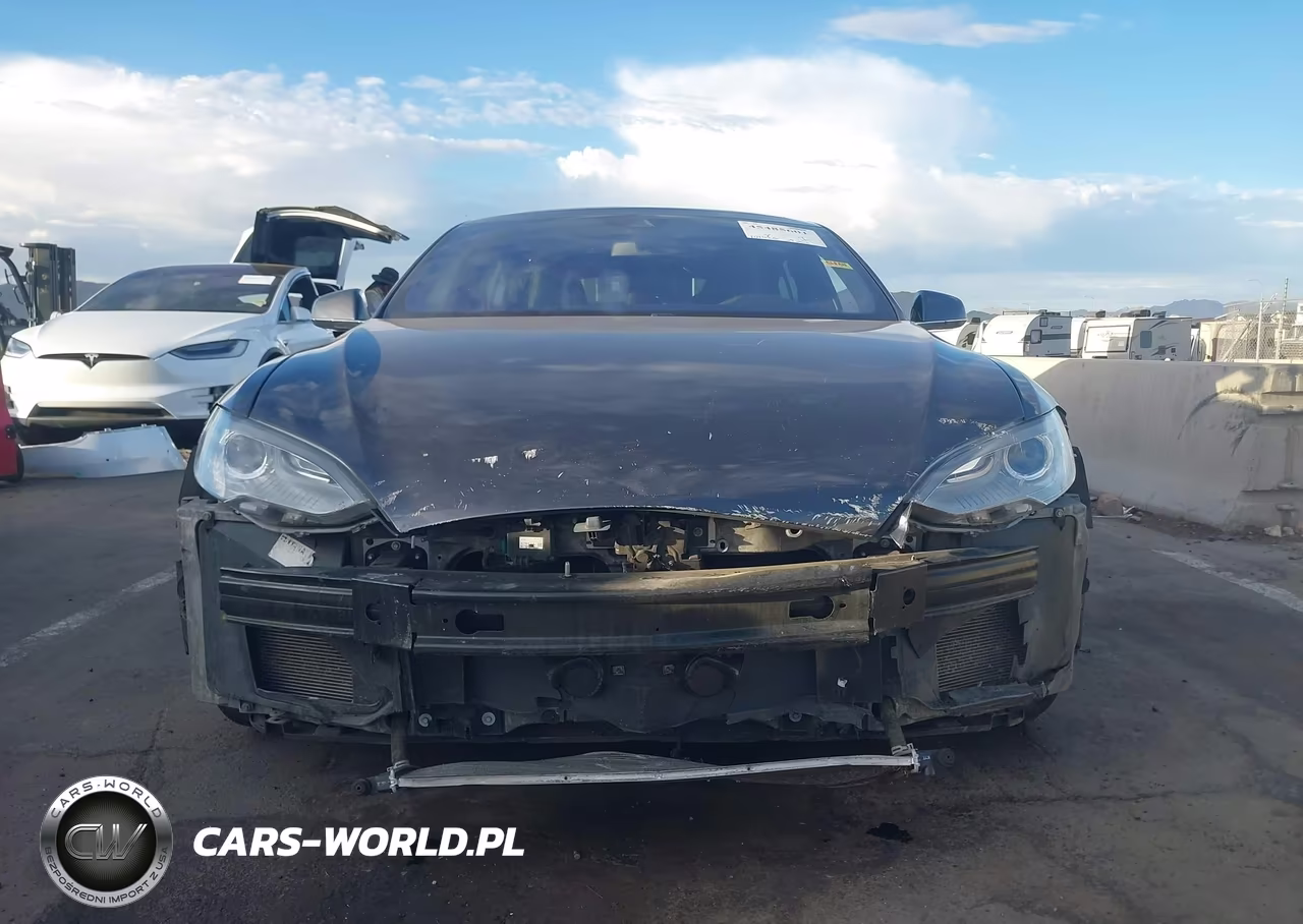 2016 Tesla Model S 60-70-75-85 VIN:5YJSA1E12GF121945 - 12