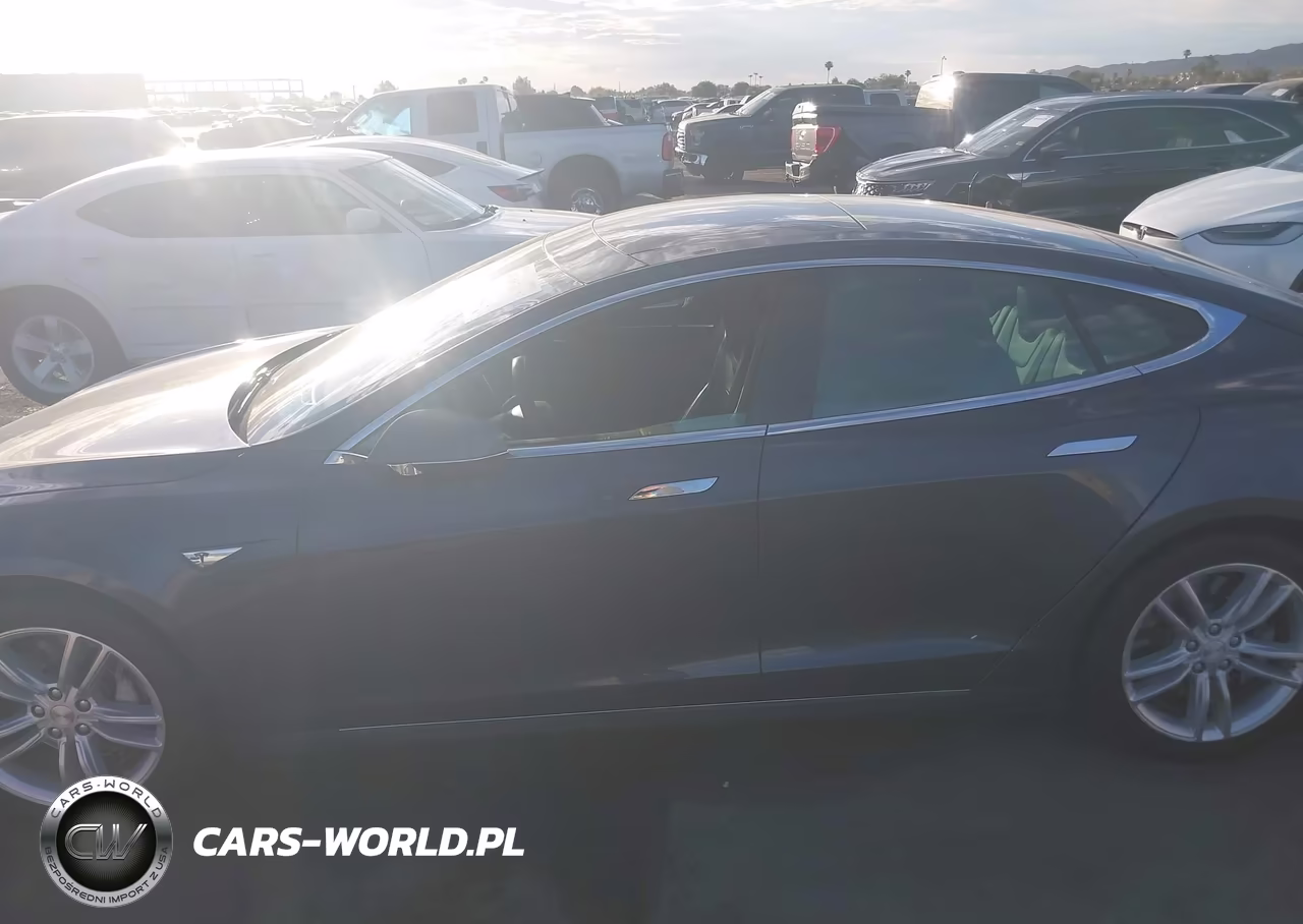 2016 Tesla Model S 60-70-75-85 VIN:5YJSA1E12GF121945 - 14