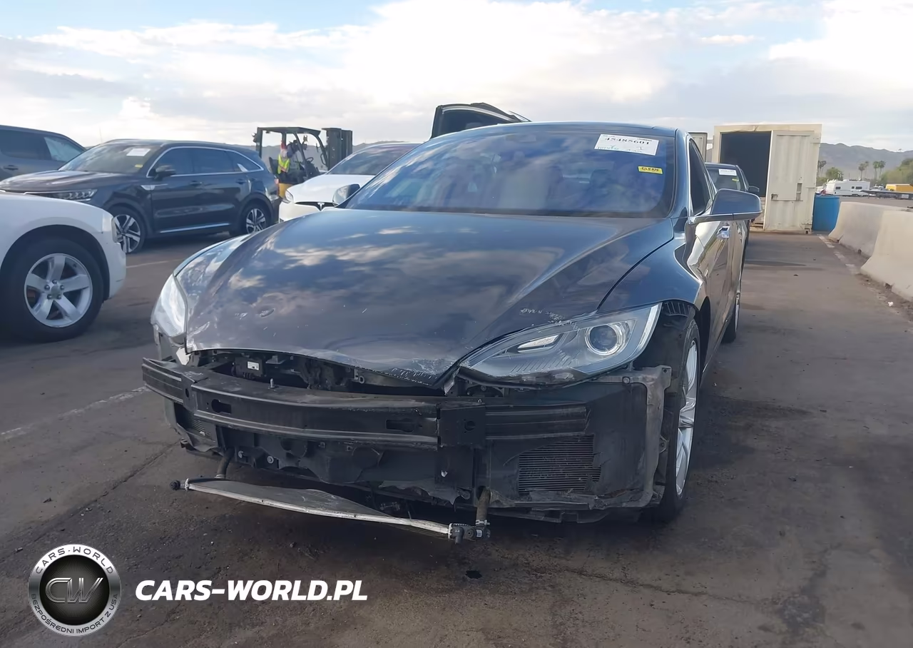2016 Tesla Model S 60-70-75-85 VIN:5YJSA1E12GF121945 - 6