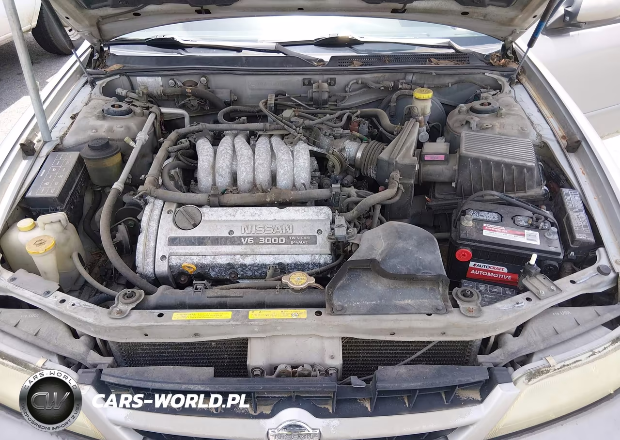 1999 Nissan Maxima Gle-Gxe-Se-Se-L VIN:JN1CA21D5XT217384 - 10