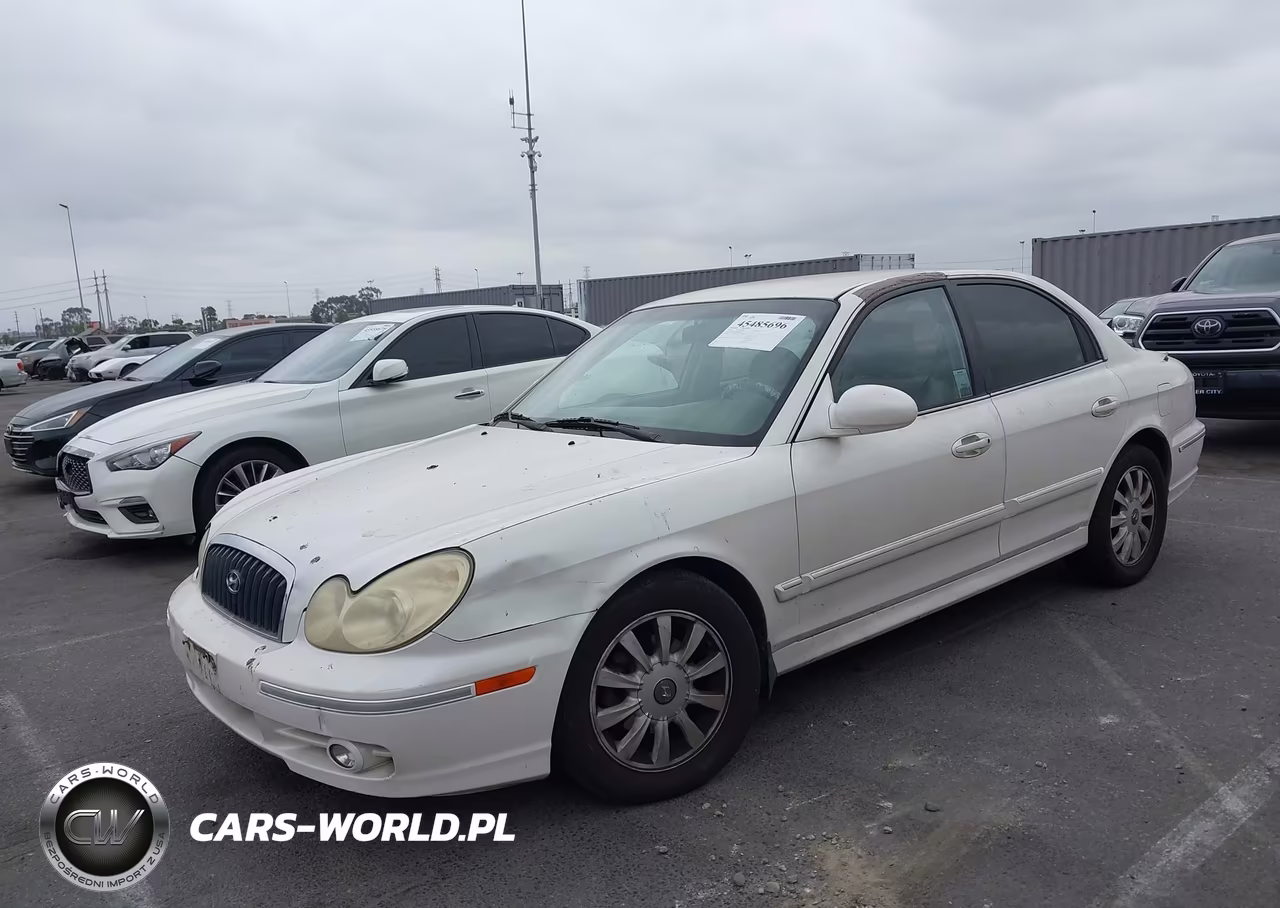 2004 Hyundai Sonata Gls-Lx VIN:KMHWF35H84A010487 - 2
