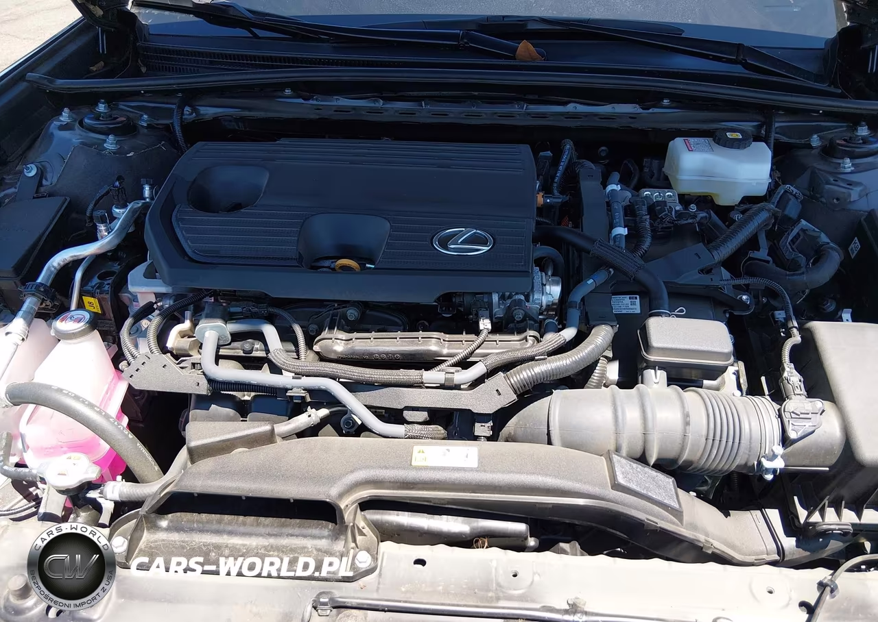 2025 Lexus Es 300H Luxury VIN:58AEA1C18SU069290 - 10