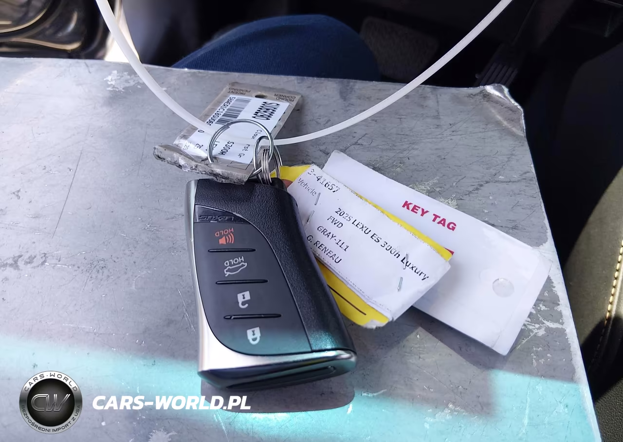 2025 Lexus Es 300H Luxury VIN:58AEA1C18SU069290 - 11