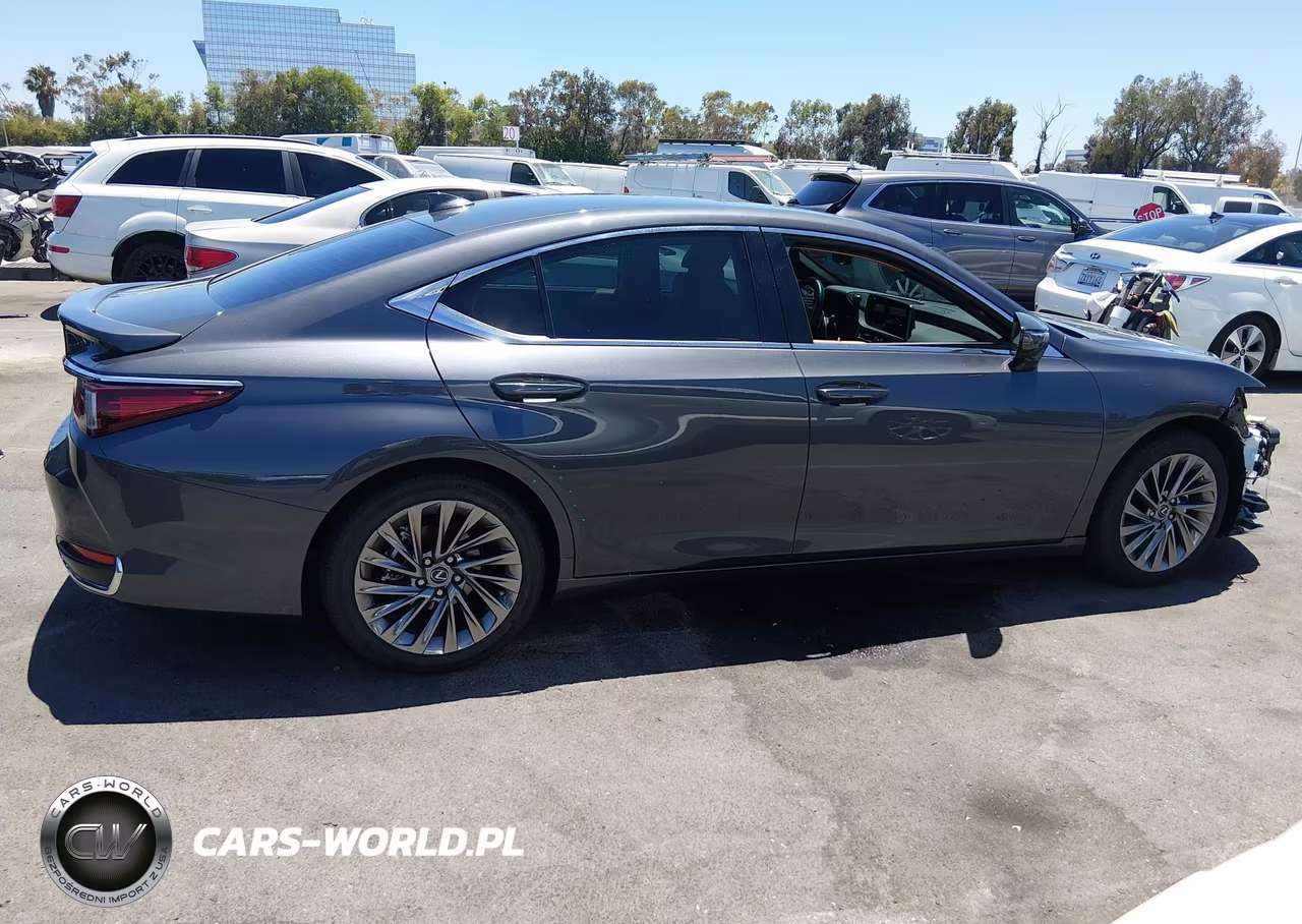 2025 Lexus Es 300H Luxury VIN:58AEA1C18SU069290 - 14