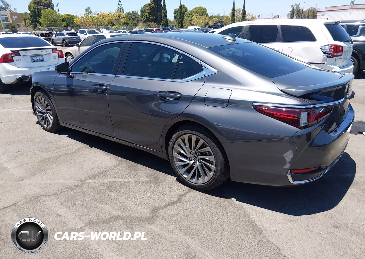 2025 Lexus Es 300H Luxury VIN:58AEA1C18SU069290 - 3