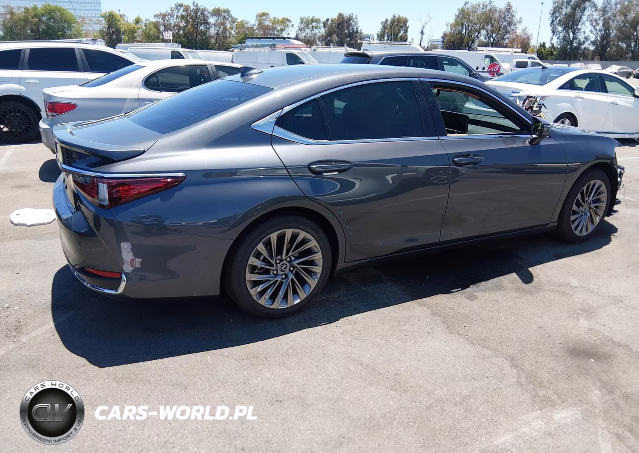 2025 Lexus Es 300H Luxury VIN:58AEA1C18SU069290 - 4