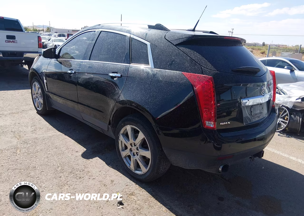 2010 Cadillac Srx Premium Collection VIN:3GYFNCEY8AS585507 - 3
