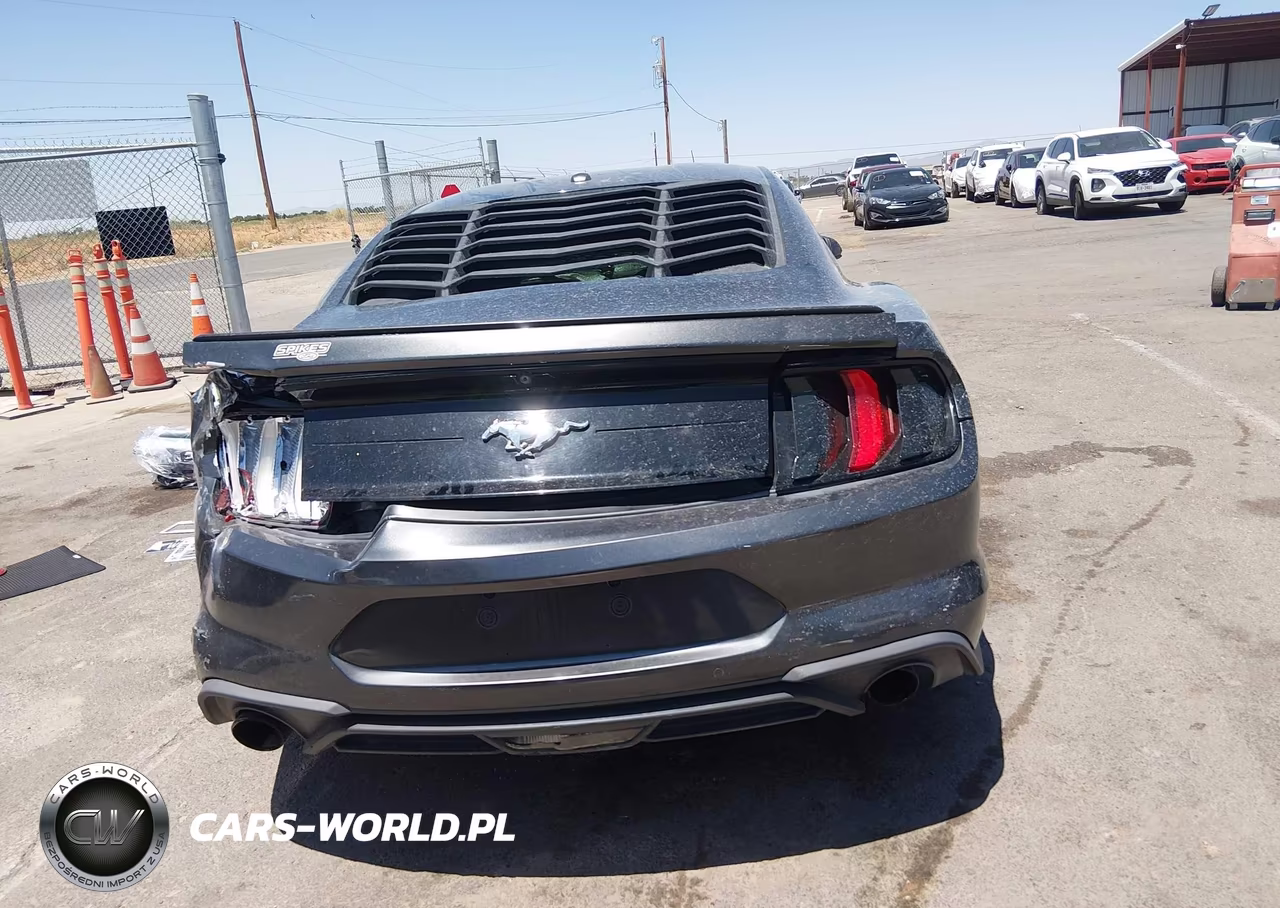 2019 Ford Mustang Ecoboost VIN:1FA6P8TH7K5185696 - 16