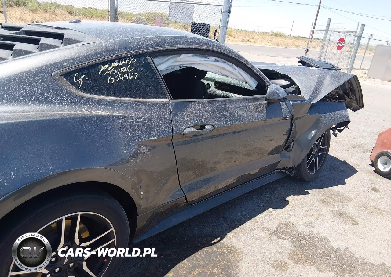 2019 Ford Mustang Ecoboost VIN:1FA6P8TH7K5185696 - 19