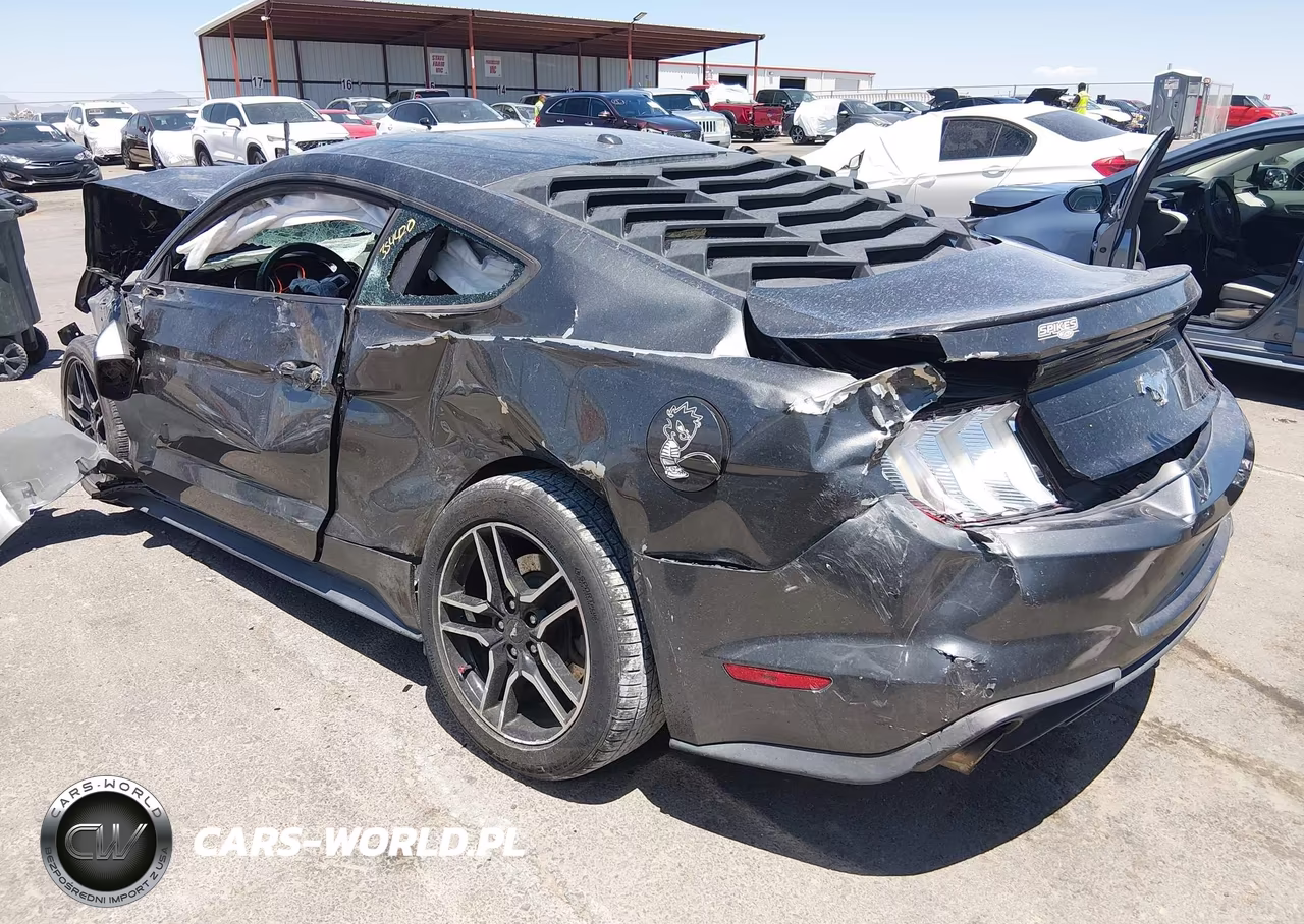2019 Ford Mustang Ecoboost VIN:1FA6P8TH7K5185696 - 3