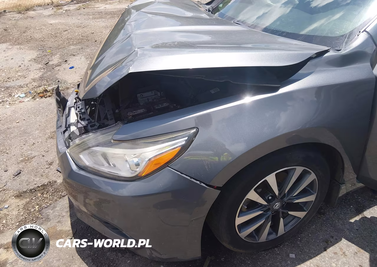 2016 Nissan Altima 2.5 Sv VIN:1N4AL3AP6GC274455 - 18