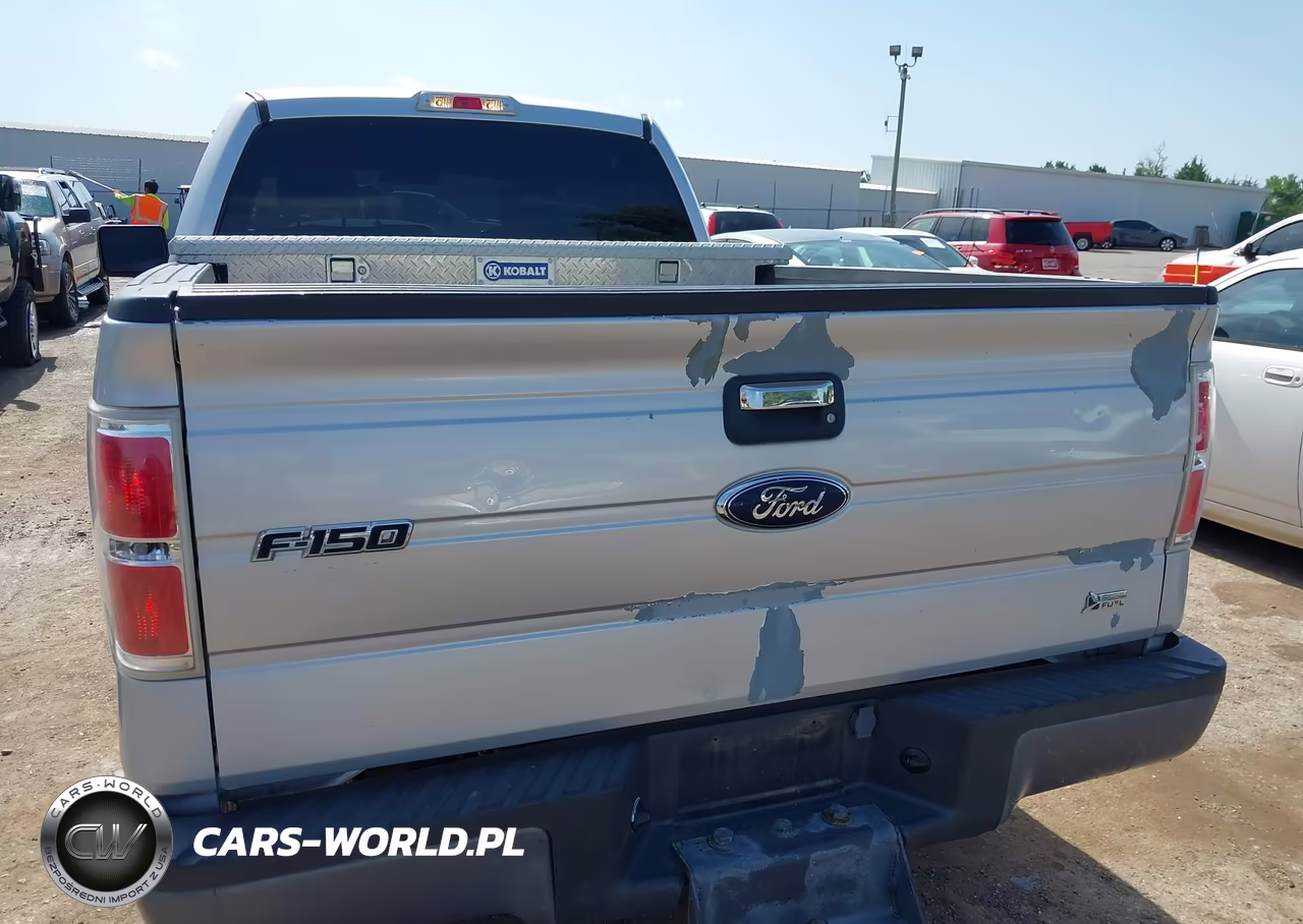 2010 Ford F-150 Stx-Xl-Xl W-Mid-Box Prep-Xlt-Xlt W-Mid-Box Prep VIN:1FTMF1CW5AKC19449 - 16