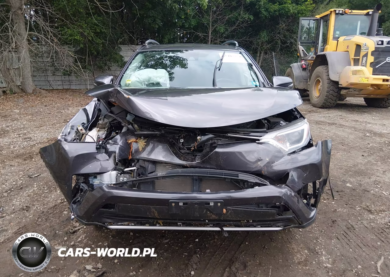 2018 Toyota Rav4 Xle VIN:JTMRFREV5JJ721781 - 12