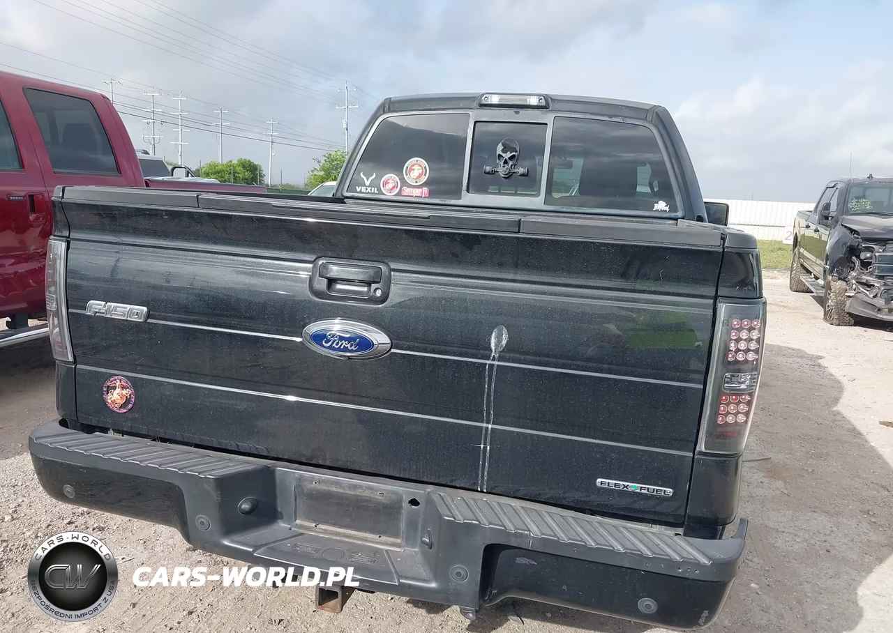 2012 Ford F-150 Fx2-King Ranch-Lariat-Platinum-Xl-Xlt VIN:1FTFW1CF5CFC24591 - 16
