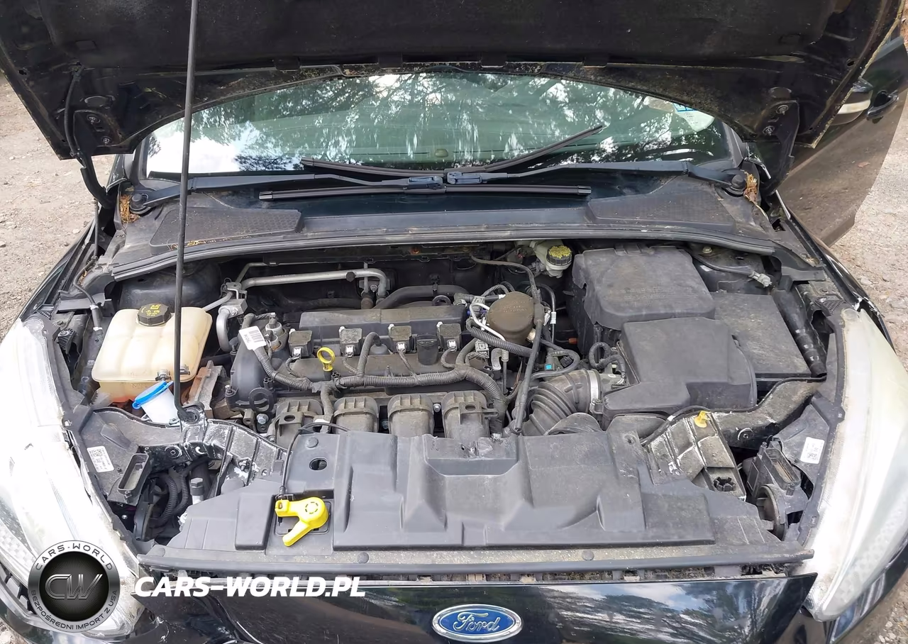 2015 Ford Focus Se VIN:1FADP3F28FL243222 - 10