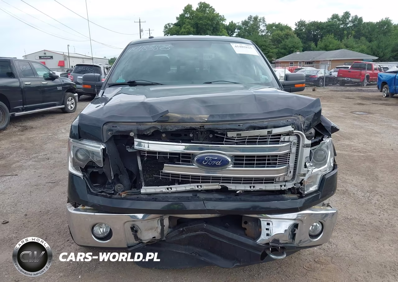2014 Ford F-150 Xlt VIN:1FTFW1EF8EFB75953 - 12