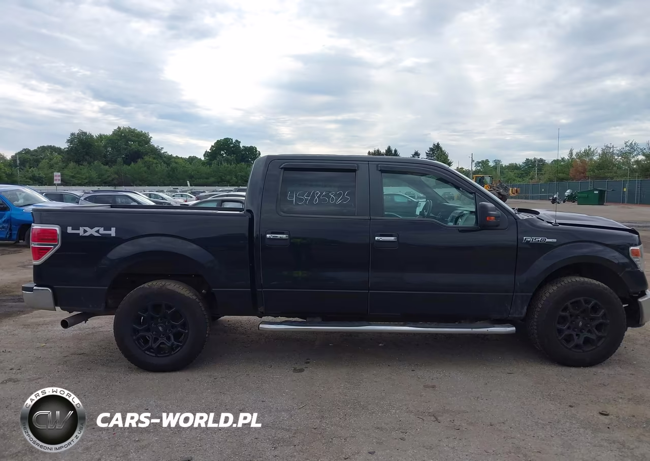 2014 Ford F-150 Xlt VIN:1FTFW1EF8EFB75953 - 13