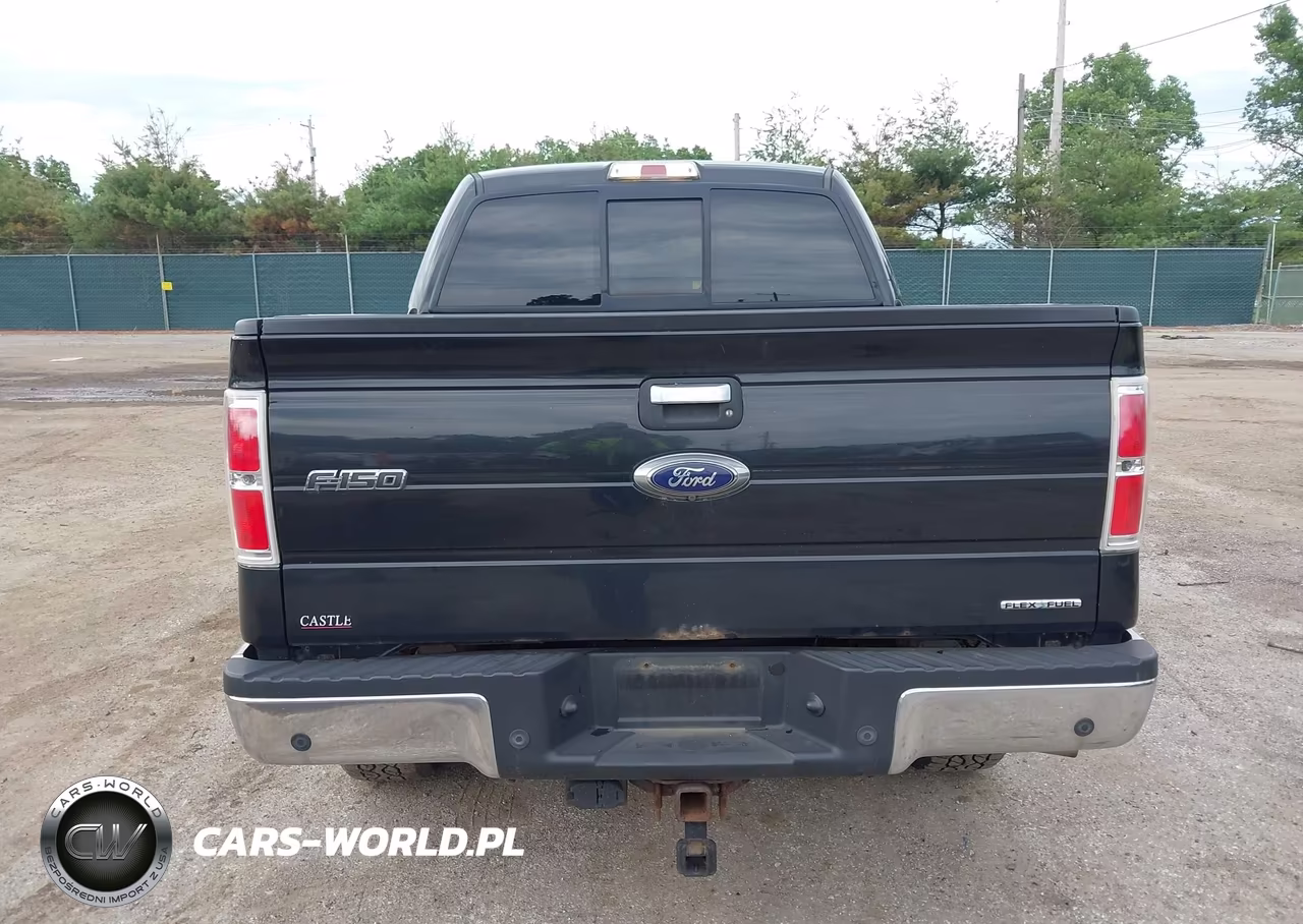 2014 Ford F-150 Xlt VIN:1FTFW1EF8EFB75953 - 16