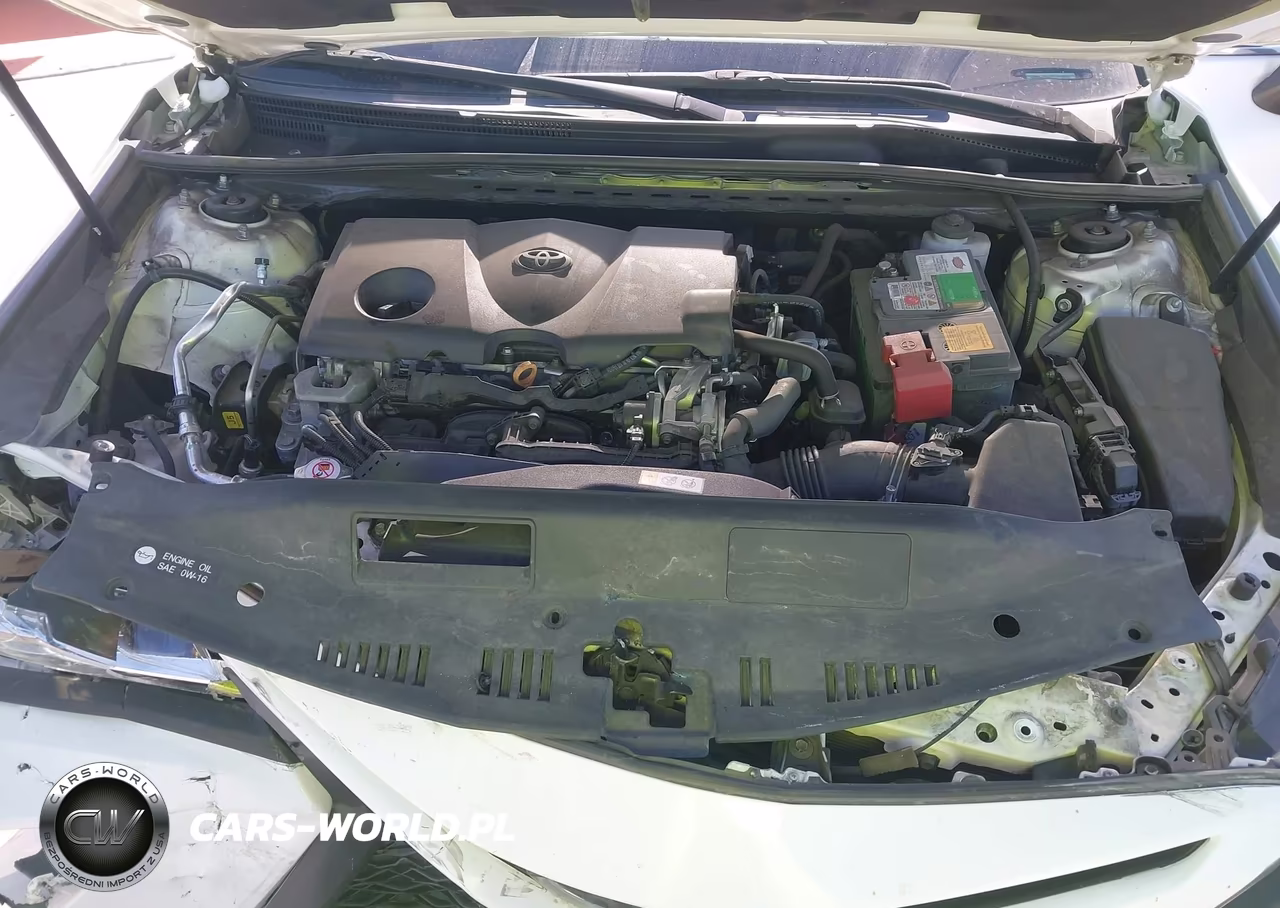 2019 Toyota Camry Se VIN:4T1B11HK7KU731615 - 10