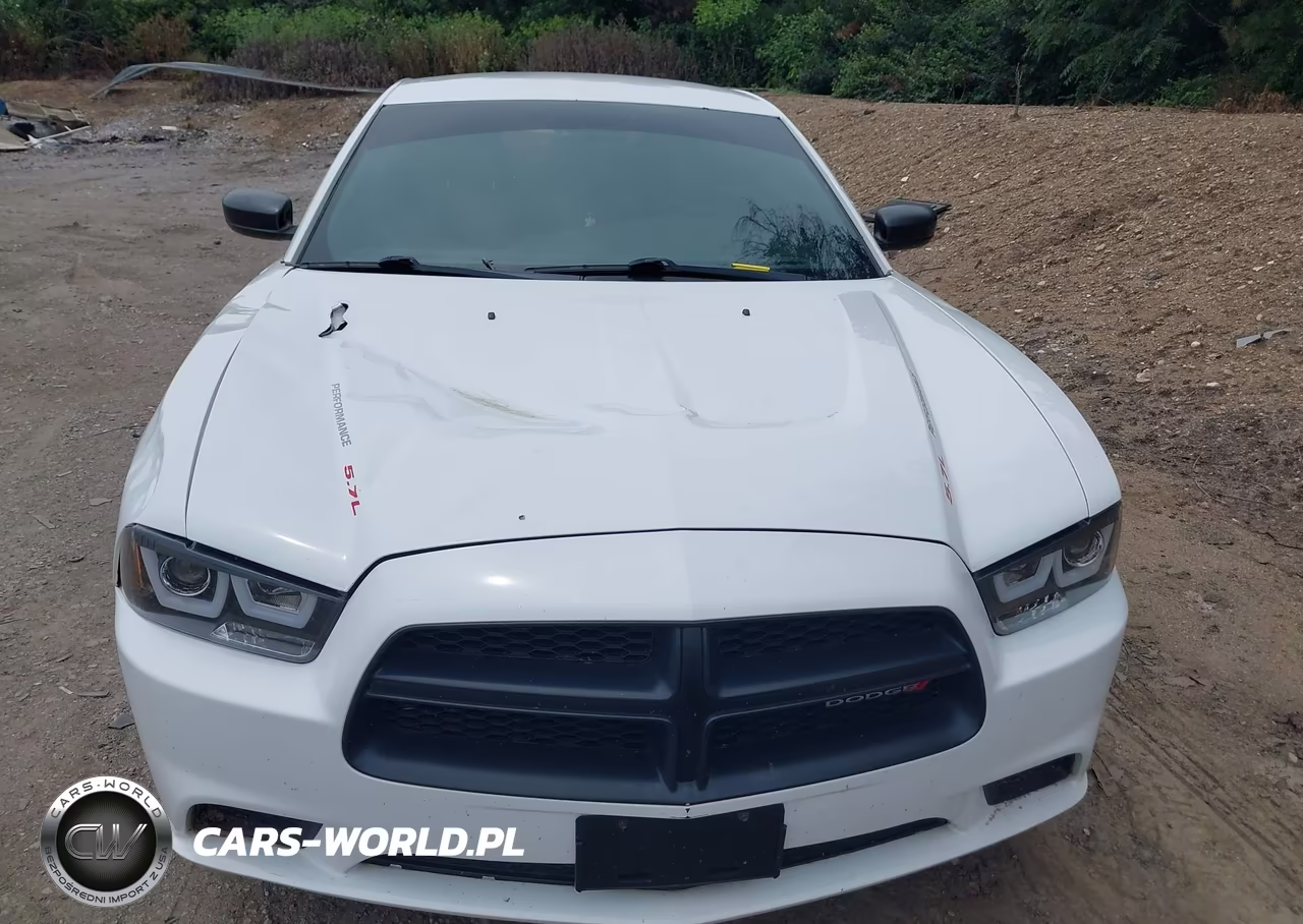 2014 Dodge Charger Police VIN:2C3CDXAT9EH348471 - 12