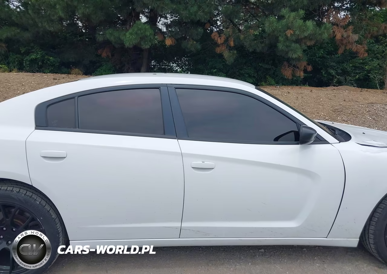 2014 Dodge Charger Police VIN:2C3CDXAT9EH348471 - 13